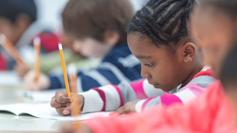 Cultural diversity and the gap between schools and learners