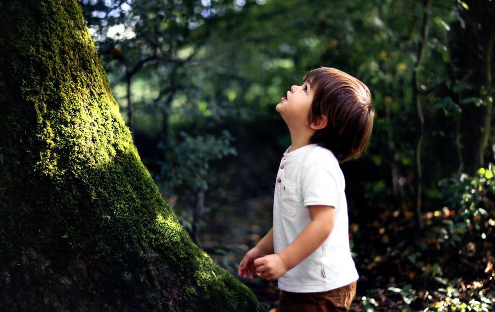Nature-based learning for literacy and numeracy