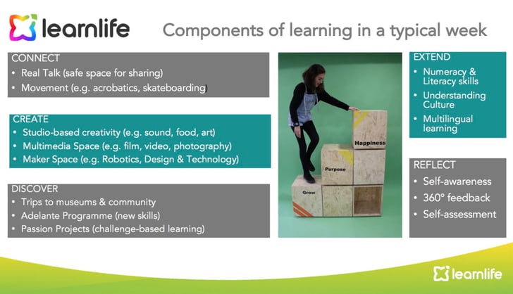 components of learning