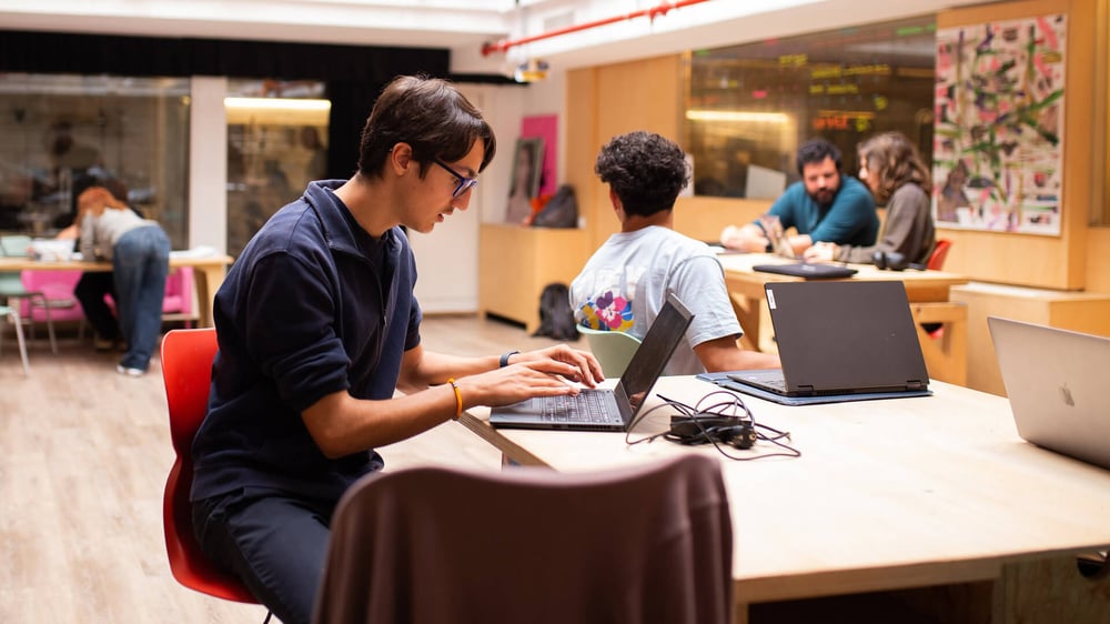 The Learning Vitae at Learnlife: A Living Portfolio for University, Work and Life