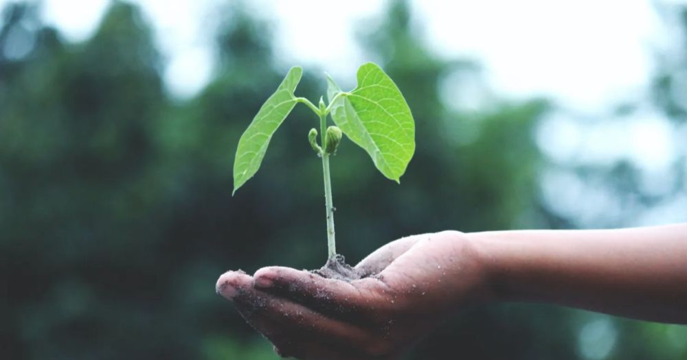 Developing a Growth Mindset with Carol Dweck 